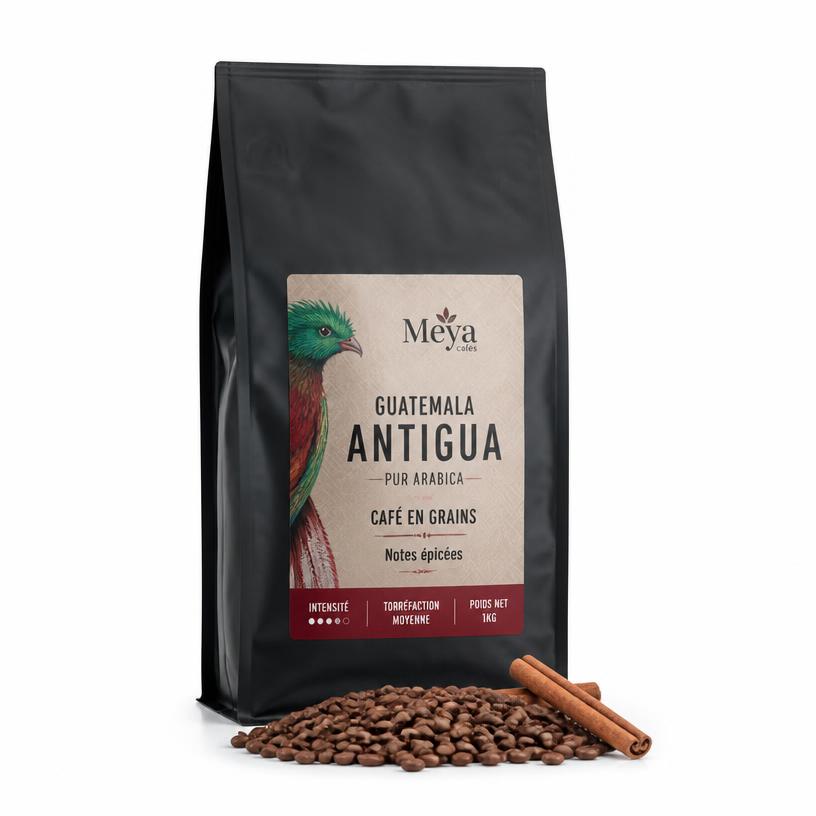 Guatemala Antigua Épicé - Grains 500g